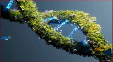 2.4 مليون سنة.. أقدم حمض نووي يفتح نافذة لفهم الحياة القديمة بعمق جديد